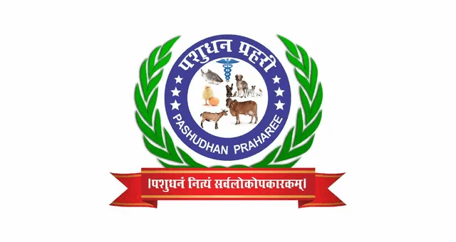 Media Logo 2
